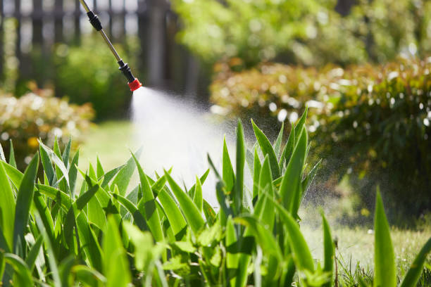 24/7 Emergency Wasp Removal experts in Ossun, LA